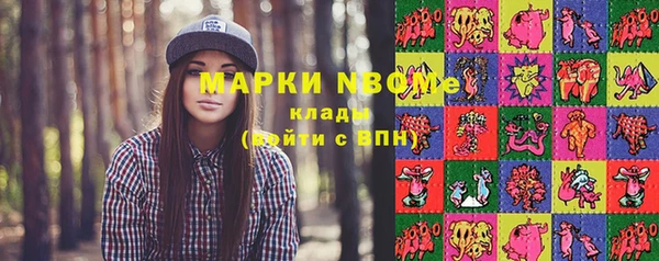 прущий лед Пересвет