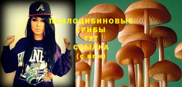 прущий лед Пересвет