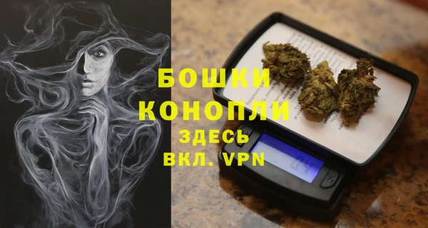 прущий лед Пересвет