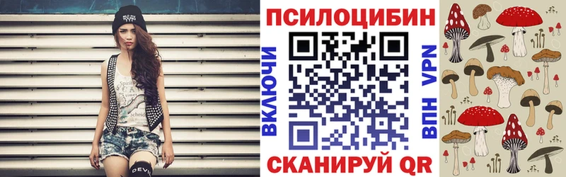 гидра ссылка  что такое наркотик  Нижнекамск  Псилоцибиновые грибы Psilocybine cubensis 